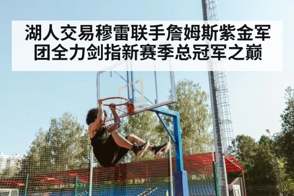 LeBron James dunk
