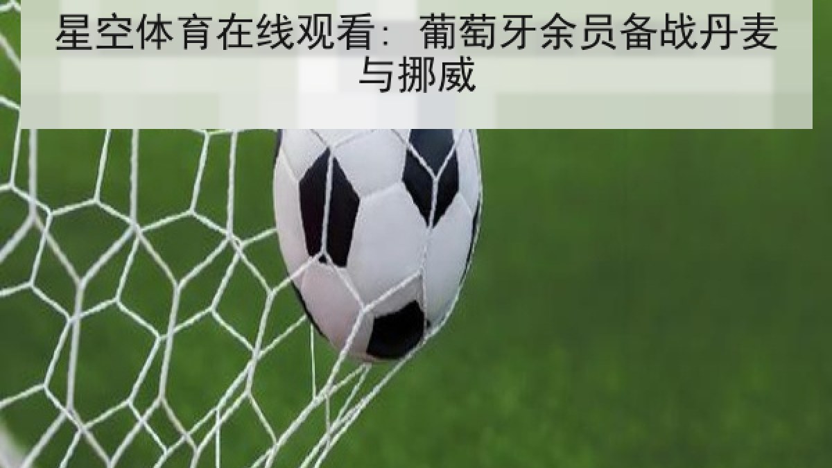 星空体育在线观看: 葡萄牙余员备战丹麦与挪威